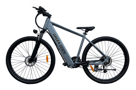 Special! Electric Mountain Bike - 29
