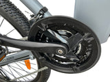 Special! Electric Mountain Bike - 29", 27 Speeds, Aluminum, 48V Motor, 10Ah, Grey