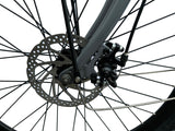 Electric Vintage Bike - 26", 7 speeds, 36V 250W Motor, 10Ah, Grey