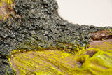 Aquarium Decoration - Hollow Tree Stump