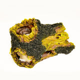 Aquarium Decoration - Hollow Tree Stump