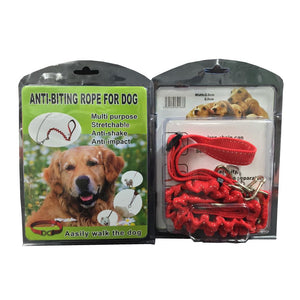 dog-leash-dogs-anti-biting-electrical-cycle-cycling-accessories-bike-part-home-accessories-house-hold-products-dog-products-pet-accessories-baseball-products-home-garden-accessories-electronics-mobile-phone-accessories-kitchen-painting
