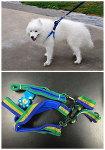 Dog Harness with Leash, Green/Blue/Yellow, Large