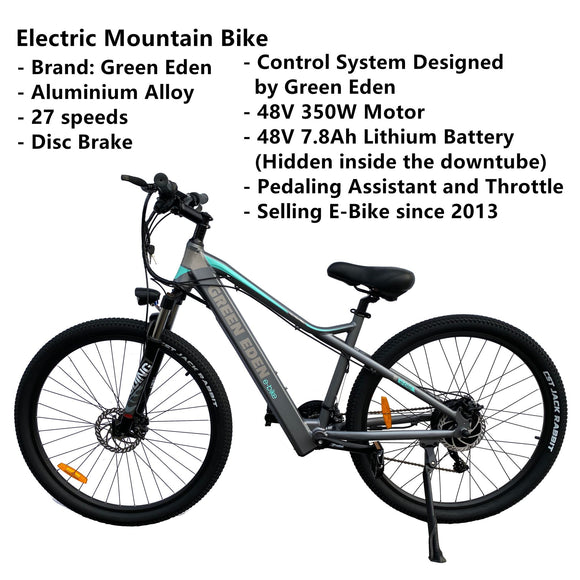 Electric Mountain Bike - 29