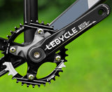 Bike Crankset - LeBycle, 38T, 170mm, for Square Tape BB, Aluminum Alloy, a pair