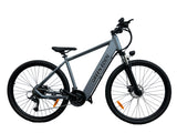 Special! Electric Mountain Bike - 29", 27 Speeds, Aluminum, 48V Motor, 10Ah, Grey